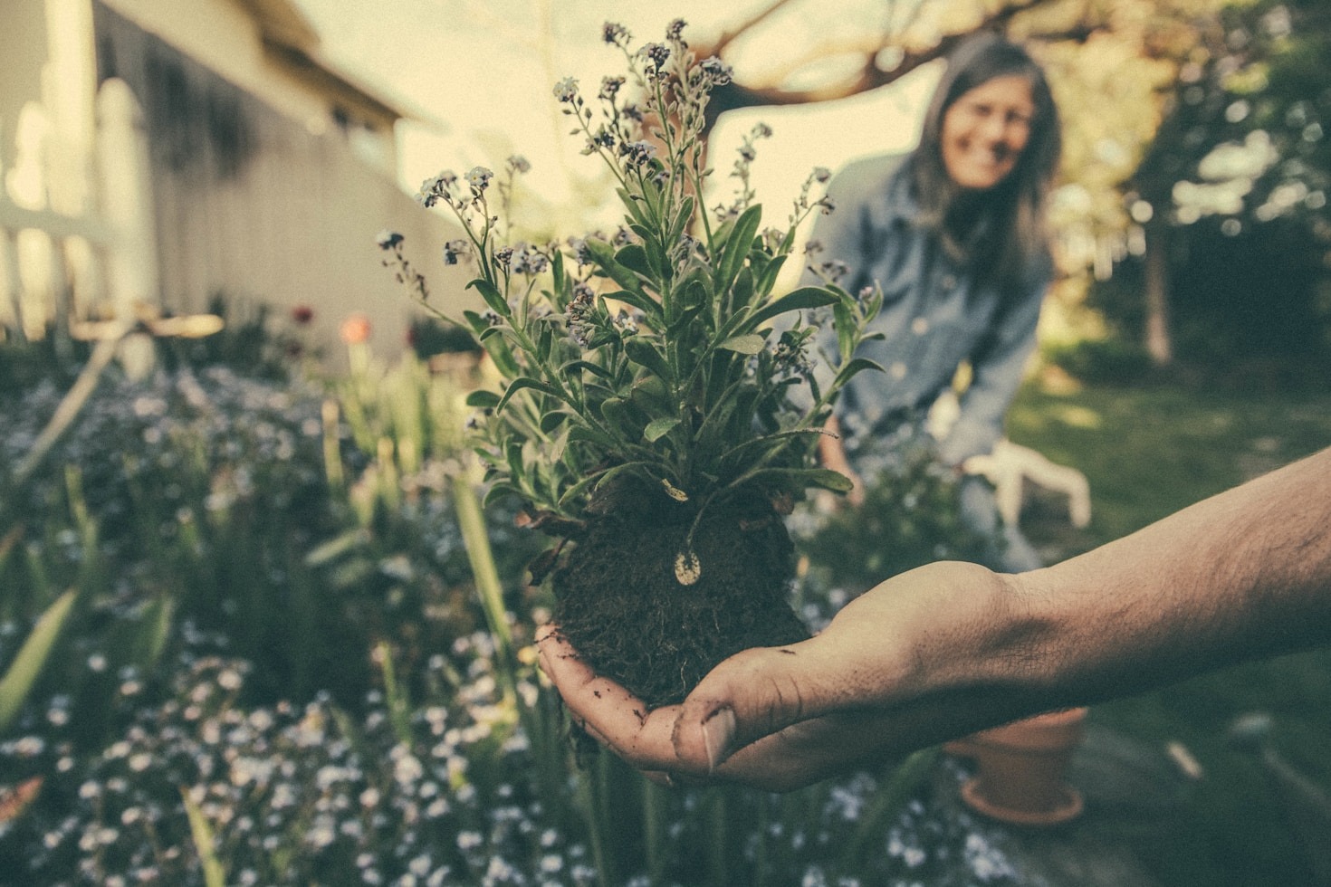 How Mycology is Revolutionizing Medicine and Agriculture